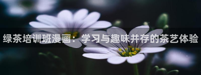 歪歪漫画汗汗漫画页页网站：绿茶培训班漫画：学习与趣味并存的茶艺体验