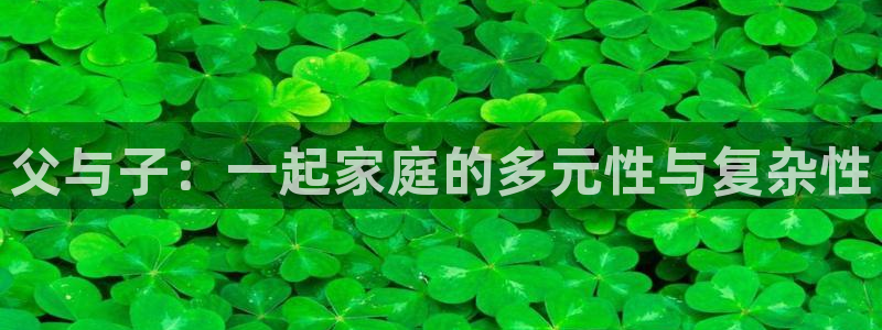汗汗漫画免费进入：父与子：一起家庭的多元性与复杂性