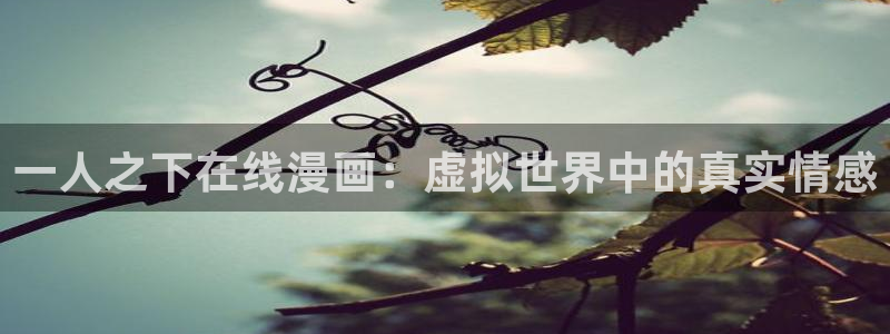 羞羞漫画汗汗漫画妖精动漫：一人之下在线漫画：虚拟世界中的真实情感