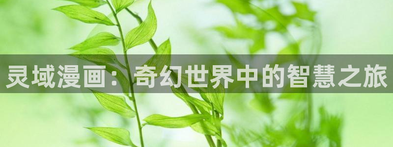 汗汗漫画黄：灵域漫画：奇幻世界中的智慧之旅