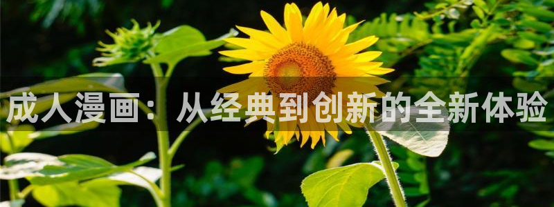 羞羞漫画歪歪汗汗漫画av：成人漫画：从经典到创新的全新体验