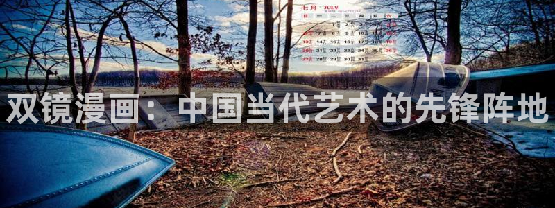 汗汗漫画在线观看nba入口：双镜漫画：中国当代艺术的先锋阵地